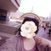 ヒメ日記 2025/03/25 09:38 投稿 みお メイドde本舗