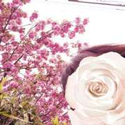 ヒメ日記 2025/04/21 08:57 投稿 みお メイドde本舗