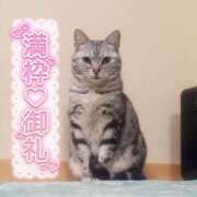 ヒメ日記 2026/01/31 10:02 投稿 みお メイドde本舗