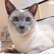 ヒメ日記 2026/02/14 09:59 投稿 みお メイドde本舗