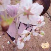 ヒメ日記 2026/03/26 21:27 投稿 みお メイドde本舗