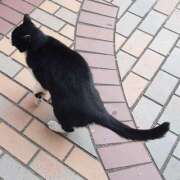 ヒメ日記 2025/01/27 19:19 投稿 みお 夜這い本舗