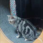 ヒメ日記 2025/03/21 07:17 投稿 みお 夜這い物語