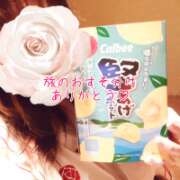 ヒメ日記 2025/05/02 13:53 投稿 みお 夜這い本舗