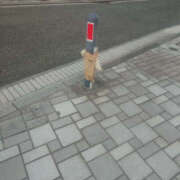 ヒメ日記 2025/08/01 16:55 投稿 みお 夜這い本舗