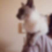 ヒメ日記 2025/12/11 12:30 投稿 みお 夜這い本舗