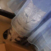 ヒメ日記 2025/12/13 11:00 投稿 みお 夜這い本舗