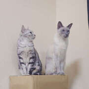 ヒメ日記 2025/12/13 13:14 投稿 みお 夜這い本舗