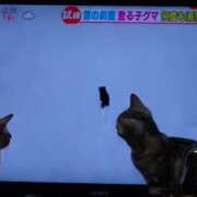 ヒメ日記 2025/12/22 13:41 投稿 みお 夜這い本舗