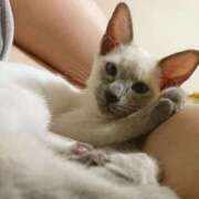 ヒメ日記 2026/01/15 22:50 投稿 みお 夜這い本舗