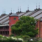 ヒメ日記 2025/06/12 17:46 投稿 つばさ BAD COMPANY（バッドカンパニー）