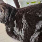 ヒメ日記 2025/06/19 11:17 投稿 つばさ BAD COMPANY（バッドカンパニー）