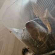 ヒメ日記 2025/06/23 15:04 投稿 つばさ BAD COMPANY（バッドカンパニー）