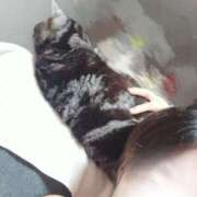 ヒメ日記 2025/09/03 22:05 投稿 つばさ BAD COMPANY（バッドカンパニー）