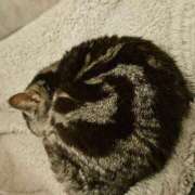 ヒメ日記 2025/09/09 18:19 投稿 つばさ BAD COMPANY（バッドカンパニー）