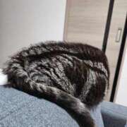 ヒメ日記 2025/10/04 17:42 投稿 つばさ BAD COMPANY（バッドカンパニー）