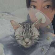 ヒメ日記 2025/11/10 21:31 投稿 つばさ BAD COMPANY（バッドカンパニー）