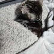 つばさ すみません BAD COMPANY(バッドカンパニー)