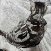 つばさ 涙涙 BAD COMPANY(バッドカンパニー)