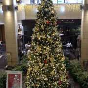 ヒメ日記 2025/12/24 10:52 投稿 真壁薫 五十路マダムエクスプレス船橋店(カサブランカグループ)