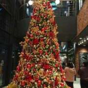 ヒメ日記 2025/12/24 20:24 投稿 真壁薫 五十路マダムエクスプレス船橋店(カサブランカグループ)