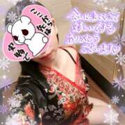 ヒメ日記 2025/02/20 12:25 投稿 やよい メイドde本舗