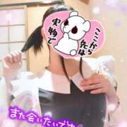 ヒメ日記 2025/03/25 13:46 投稿 やよい メイドde本舗