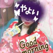 ヒメ日記 2025/04/17 11:21 投稿 やよい メイドde本舗