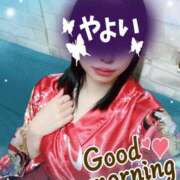 ヒメ日記 2025/05/02 11:09 投稿 やよい メイドde本舗