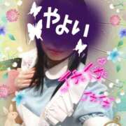 ヒメ日記 2025/06/12 13:24 投稿 やよい メイドde本舗