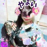 ヒメ日記 2025/06/16 13:26 投稿 やよい メイドde本舗