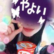 ヒメ日記 2025/07/12 20:35 投稿 やよい メイドde本舗