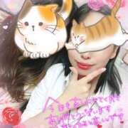 ヒメ日記 2025/09/22 14:13 投稿 やよい メイドde本舗