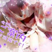 ヒメ日記 2026/02/02 13:51 投稿 やよい メイドde本舗