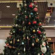 ヒメ日記 2025/12/23 17:34 投稿 はる BAD COMPANY（バッドカンパニー）