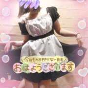 ヒメ日記 2025/02/01 10:31 投稿 やよい 夜這い本舗