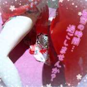 ヒメ日記 2025/02/26 10:11 投稿 やよい 夜這い本舗