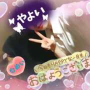 ヒメ日記 2025/09/14 10:36 投稿 やよい 夜這い本舗