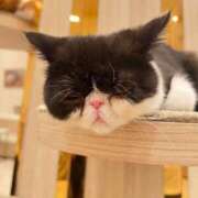 ヒメ日記 2025/02/22 19:23 投稿 ゆい いきなりラブ彼女