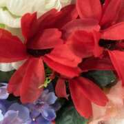 ヒメ日記 2025/01/24 20:06 投稿 小倉めぐみ ユニティ神戸西・明石 人妻熟女