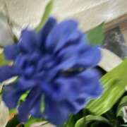 ヒメ日記 2025/01/25 13:49 投稿 小倉めぐみ ユニティ神戸西・明石 人妻熟女