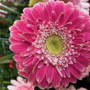 ヒメ日記 2025/01/27 01:02 投稿 小倉めぐみ ユニティ神戸西・明石 人妻熟女