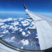 ヒメ日記 2025/05/20 17:07 投稿 わらび バイオレンス