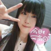 ヒメ日記 2025/06/06 06:55 投稿 わらび バイオレンス