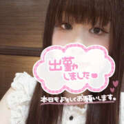 ヒメ日記 2025/08/16 06:55 投稿 わらび バイオレンス