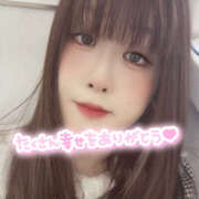 ヒメ日記 2025/12/31 17:35 投稿 わらび バイオレンス