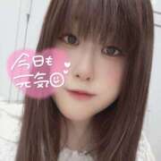 ヒメ日記 2026/02/01 15:25 投稿 わらび バイオレンス