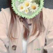 ヒメ日記 2025/04/03 13:07 投稿 鈴木いろは 恋する奥さん 西中島店