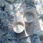 ヒメ日記 2025/06/10 17:30 投稿 みこと コートダジュール