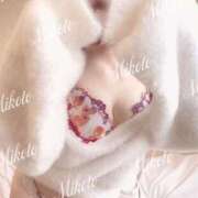 ヒメ日記 2025/09/01 16:07 投稿 みこと コートダジュール